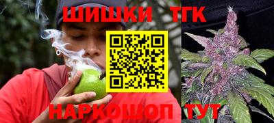 гидра Кингисепп