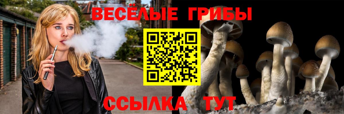 Псилоцибиновые грибы Cubensis  Вход с VPN  где продают наркотики  Костомукша 